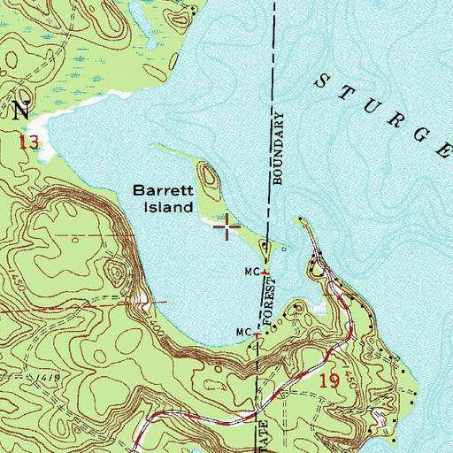 Topographic Map of Barrett Island, MN