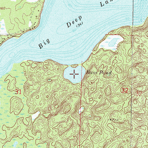 Topographic Map of Bass Pond, MN