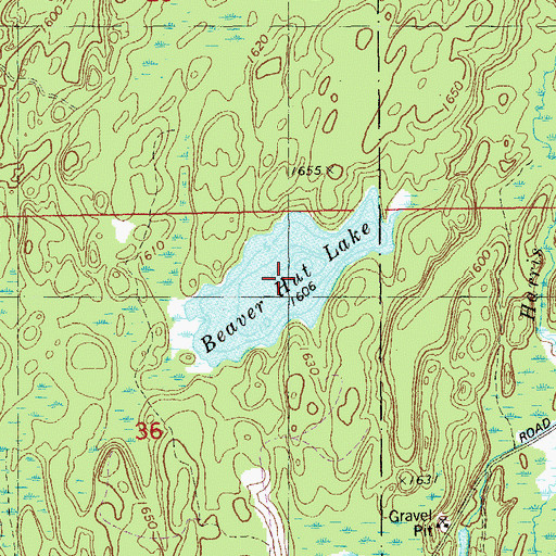 Topographic Map of Beaver Hut Lake, MN