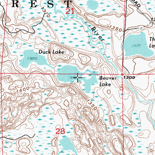 Topographic Map of Beaver Lake, MN