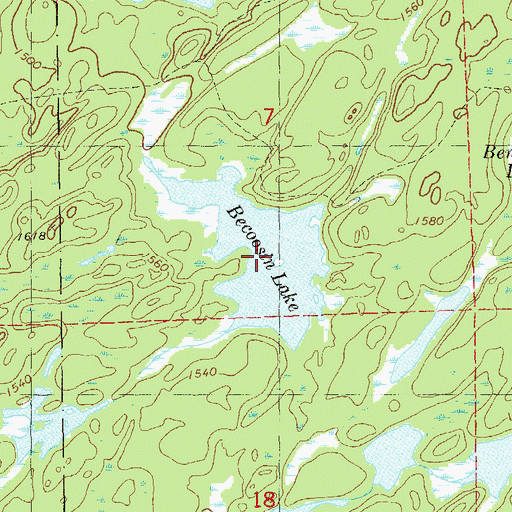 Topographic Map of Becoosin Lake, MN