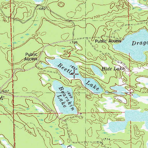 Topographic Map of Beetle Lake, MN