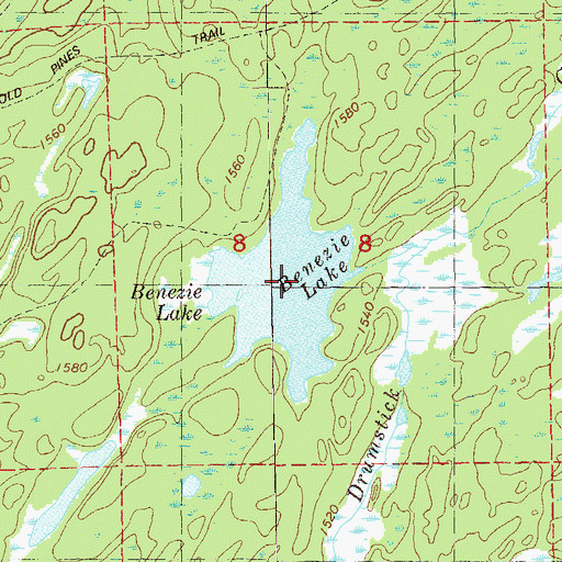 Topographic Map of Benezie Lake, MN