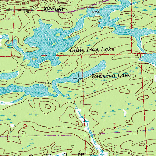 Topographic Map of Benning Lake, MN