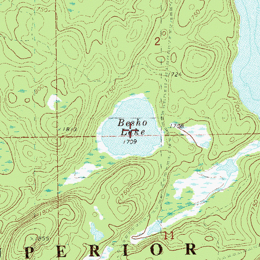 Topographic Map of Besho Lake, MN