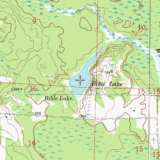 Topographic Map of Bible Lake, MN