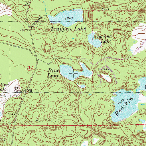 Topographic Map of Bine Lake, MN