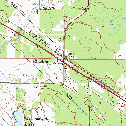 Topographic Map of Blackberry, MN