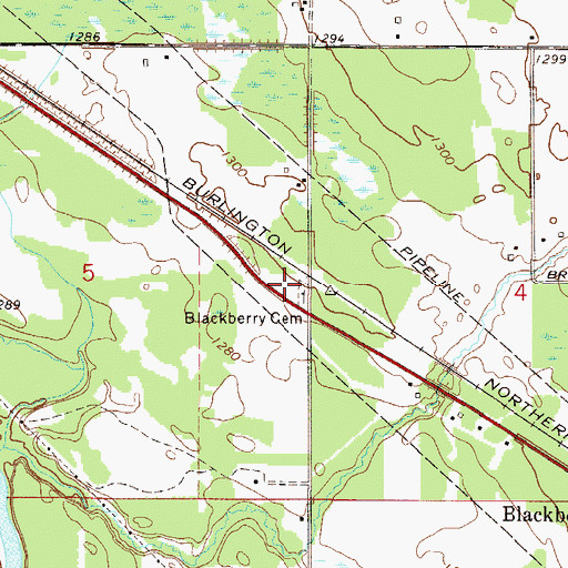 Topographic Map of Blackberry Cemetery, MN