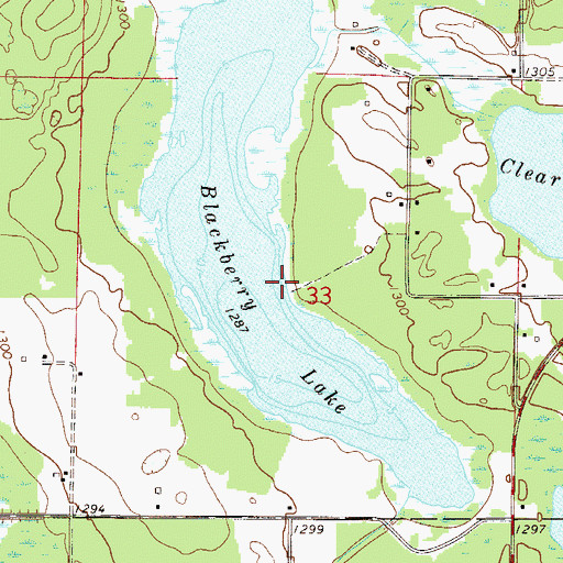 Topographic Map of Blackberry Lake, MN