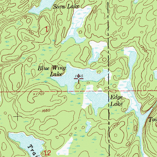 Topographic Map of Blue Wing Lake, MN