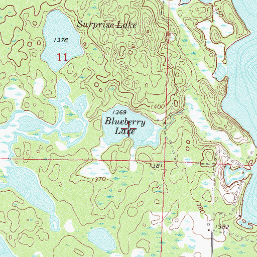 Topographic Map of Blueberry Lake, MN