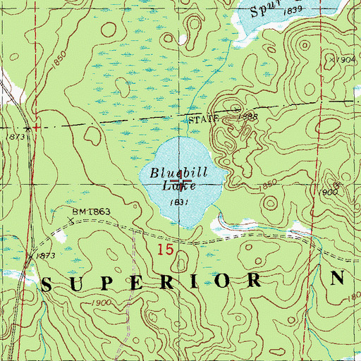 Topographic Map of Bluebill Lake, MN