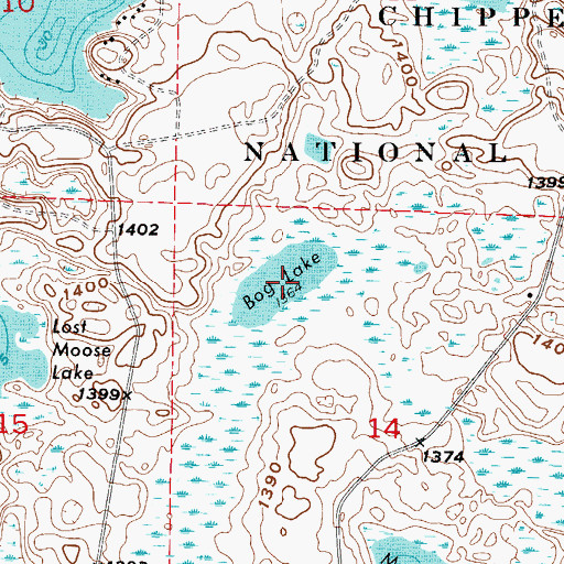 Topographic Map of Bog Lake, MN