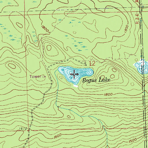 Topographic Map of Bogus Lake, MN