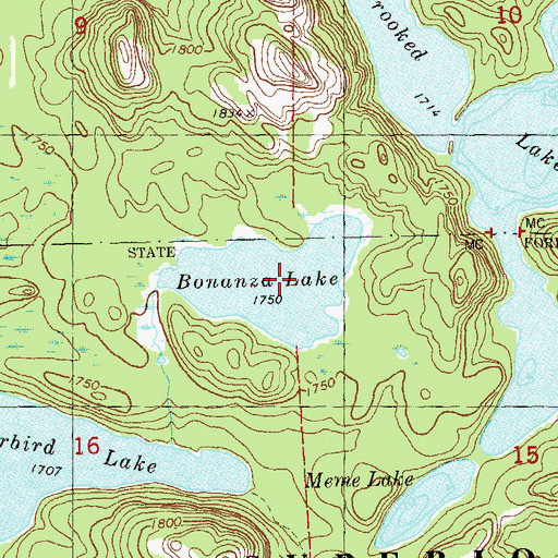 Topographic Map of Bonanza Lake, MN