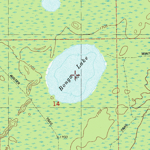 Topographic Map of Bonga Lake, MN