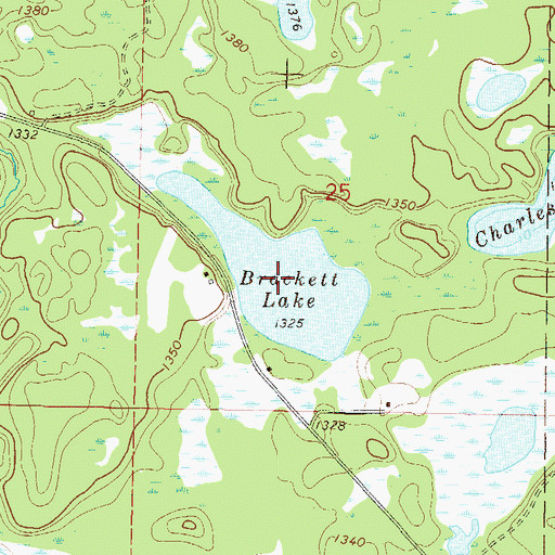 Topographic Map of Brackett Lake, MN