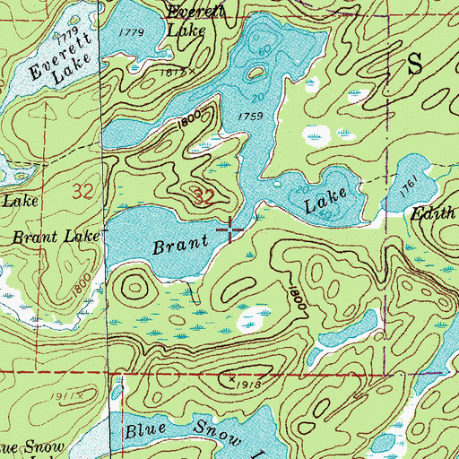 Topographic Map of Brant Lake, MN