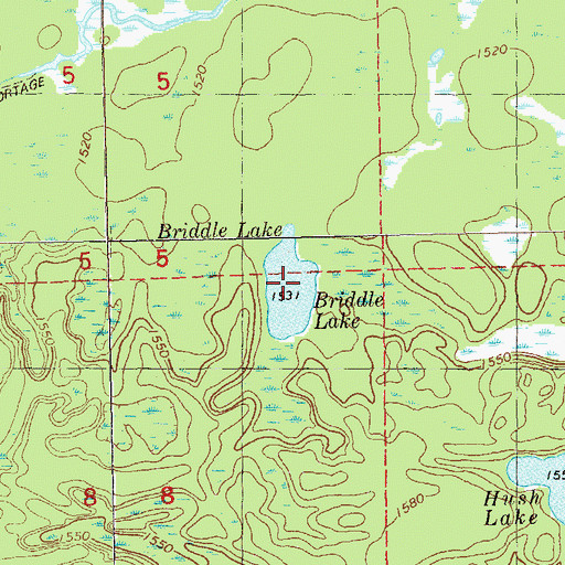 Topographic Map of Briddle Lake, MN