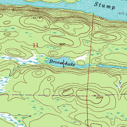 Topographic Map of Bronco Lake, MN