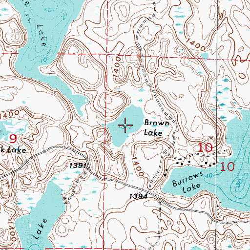 Topographic Map of Brown Lake, MN