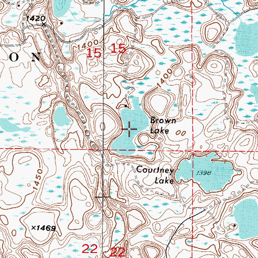 Topographic Map of Brown Lake, MN