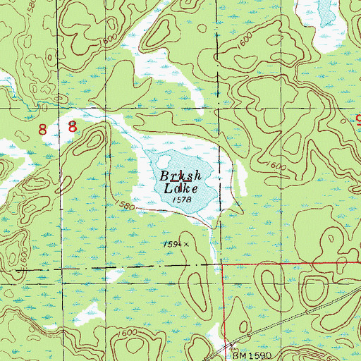 Topographic Map of Brush Lake, MN