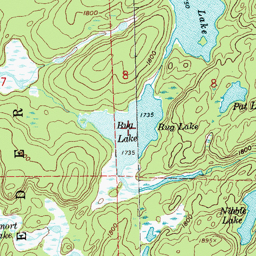 Topographic Map of Bug Lake, MN