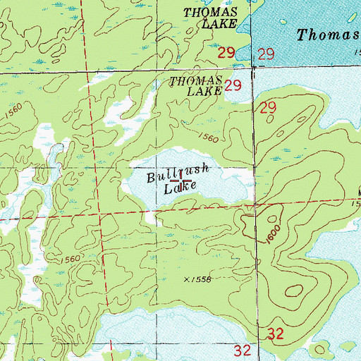 Topographic Map of Bullrush Lake, MN