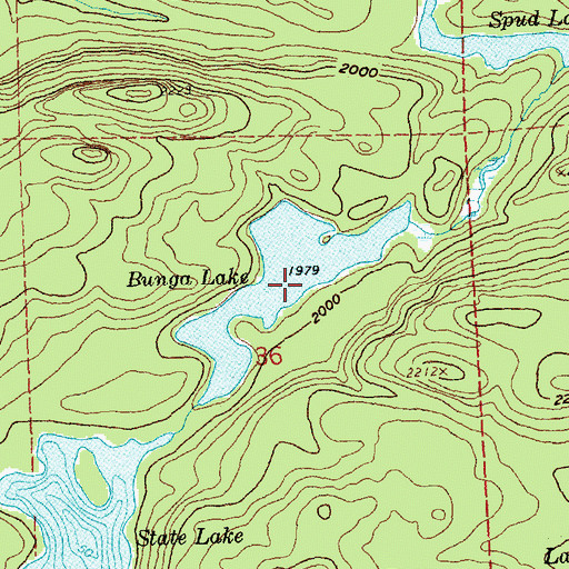 Topographic Map of Bunga Lake, MN