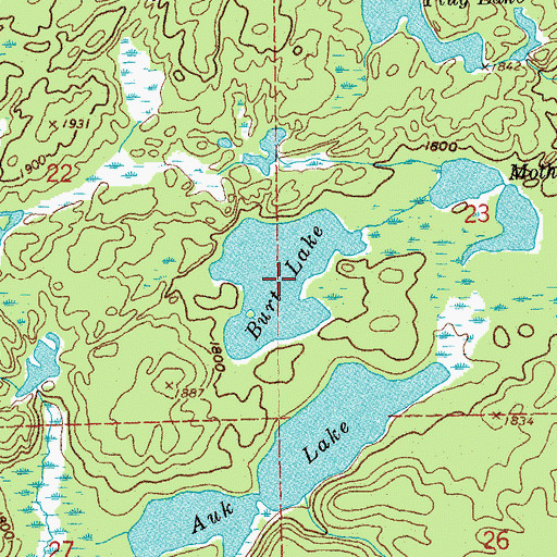 Topographic Map of Burt Lake, MN