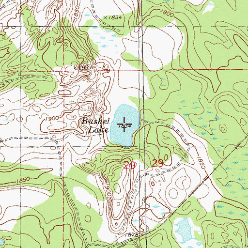Topographic Map of Bushel Lake, MN