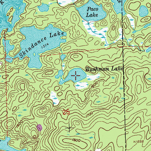 Topographic Map of Bushman Lake, MN