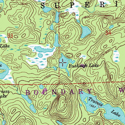 Topographic Map of Bushwah Lake, MN