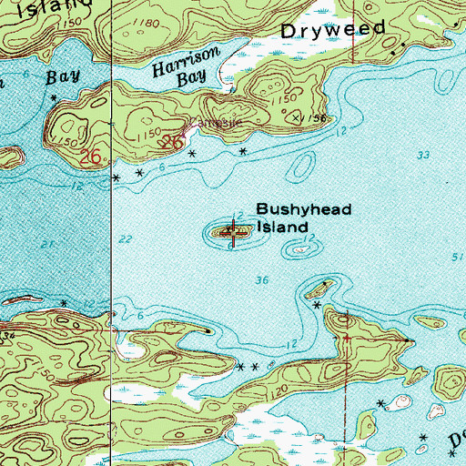 Topographic Map of Bushyhead Island, MN