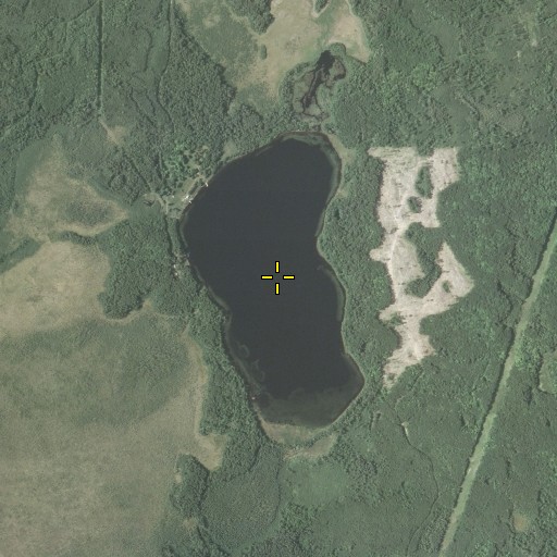 Aerial/Satellite Image of Buss Lake, MN