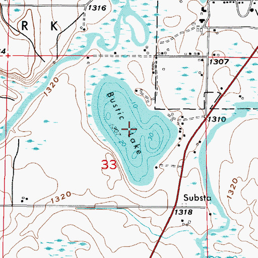 Topographic Map of Bustic Lake, MN
