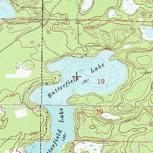 Topographic Map of Butterfield Lake, MN