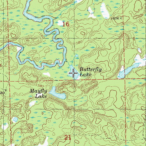 Topographic Map of Butterfly Lake, MN