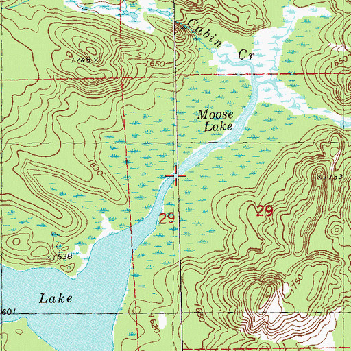 Topographic Map of Cabin Creek, MN