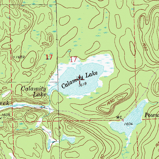 Topographic Map of Calamity Lake, MN
