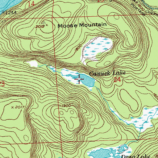 Topographic Map of Canuck Lake, MN