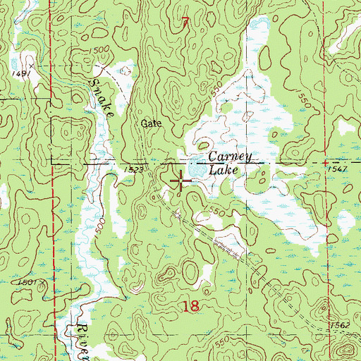 Topographic Map of Carney Lake, MN