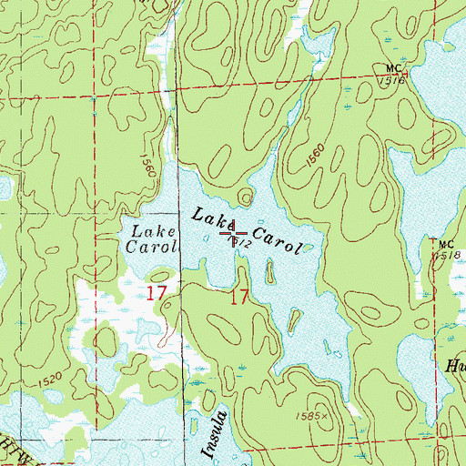 Topographic Map of Lake Carol, MN