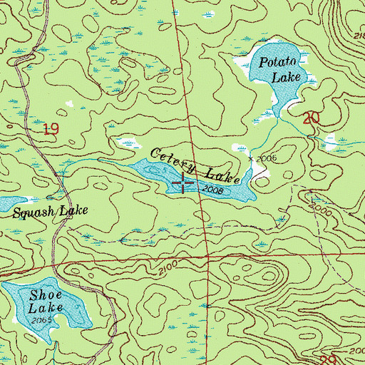 Topographic Map of Celery Lake, MN