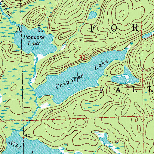 Topographic Map of Chippewa Lake, MN