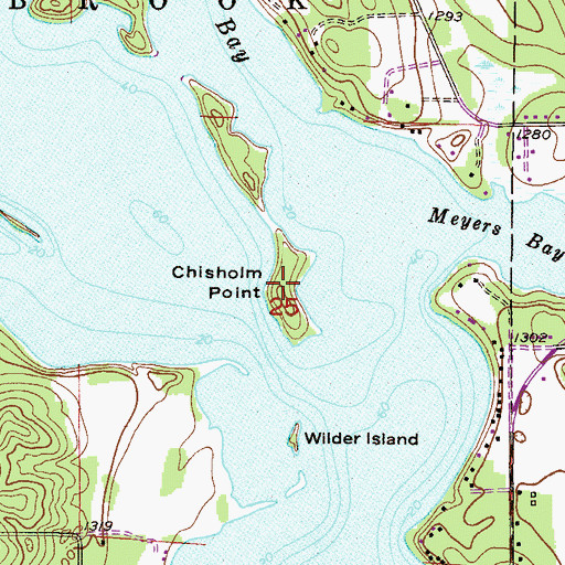 Topographic Map of Chisholm Point, MN