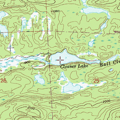 Topographic Map of Cleaver Lake, MN