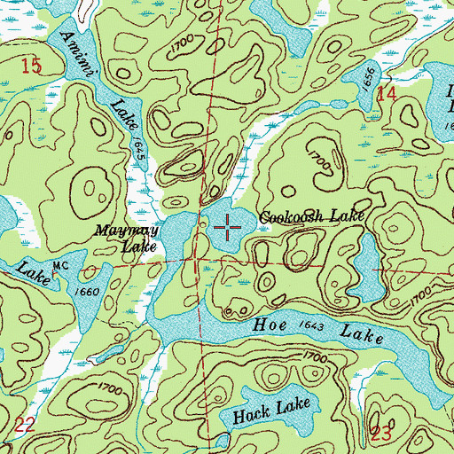 Topographic Map of Cookoosh Lake, MN